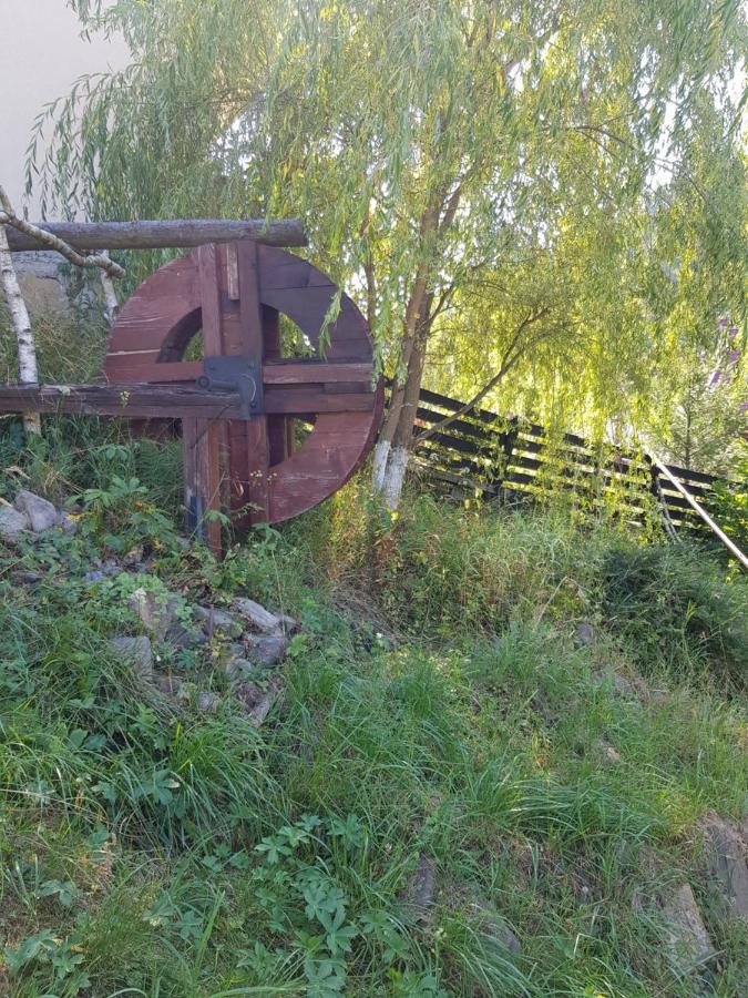 Pensiunea Daria Putna Dış mekan fotoğraf