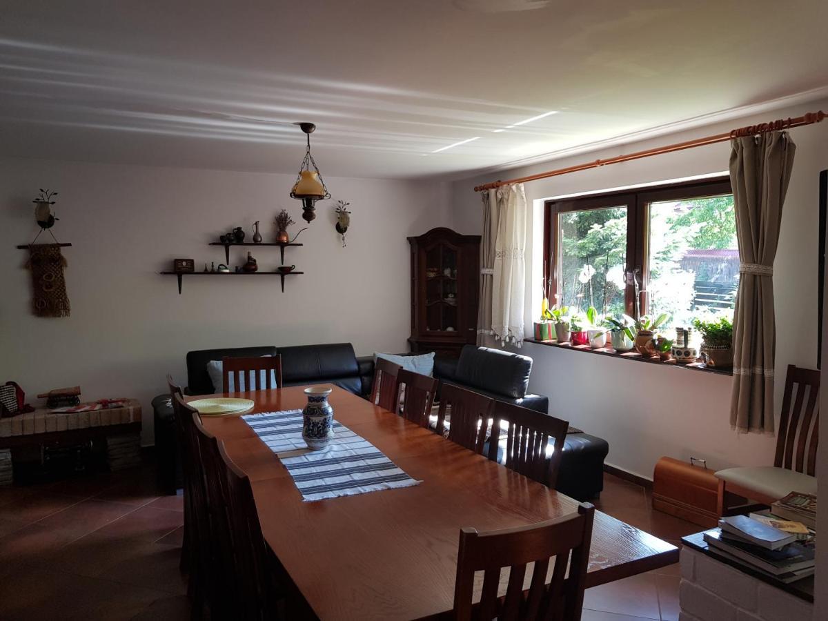 Pensiunea Daria Putna Dış mekan fotoğraf