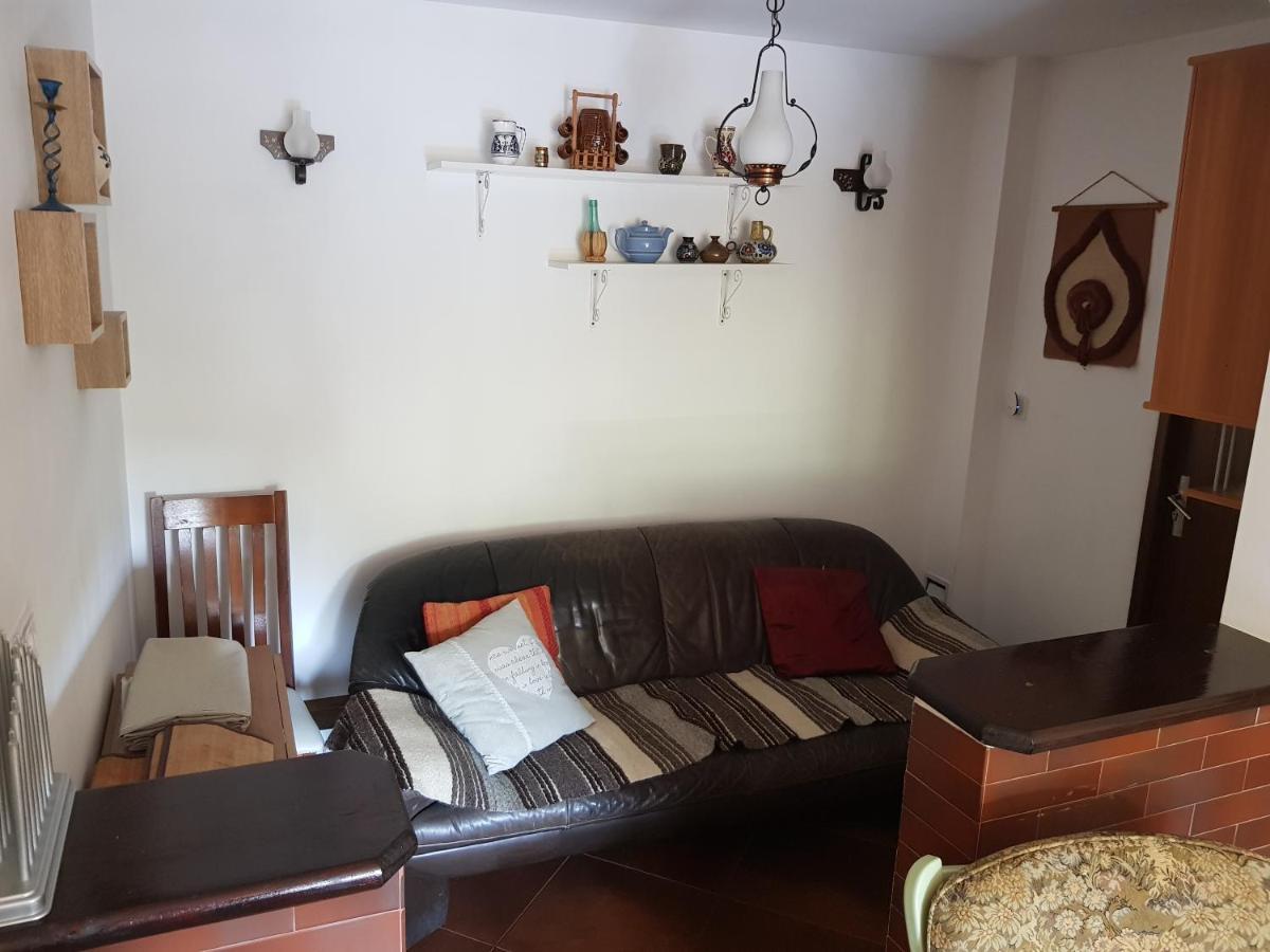 Pensiunea Daria Putna Dış mekan fotoğraf